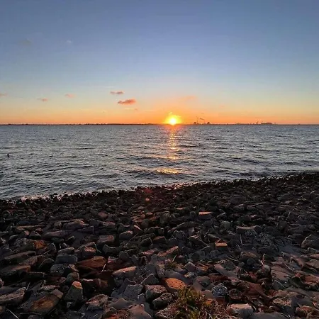 Eul F5 With Winter Garden *