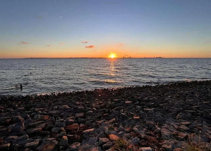 Eul F5 With Winter Garden *